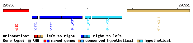 gene map