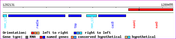 gene map