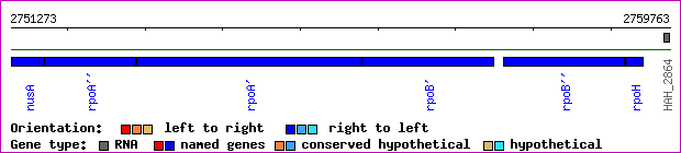 gene map