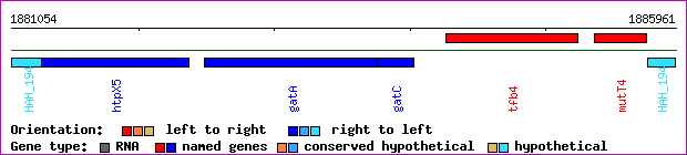 gene map