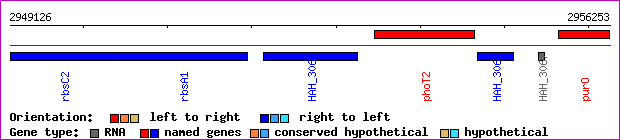 gene map