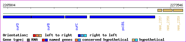 gene map