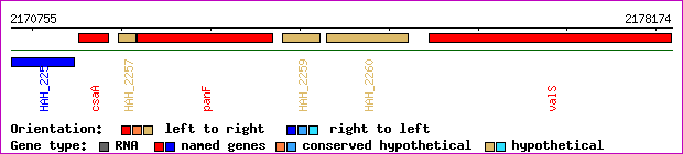 gene map