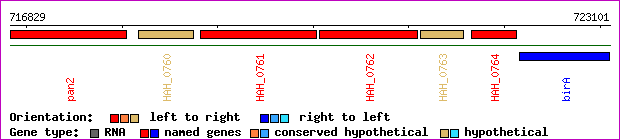 gene map