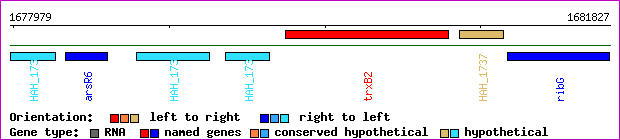 gene map