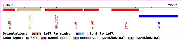 gene map