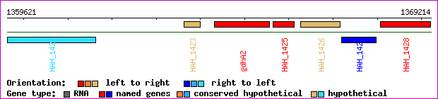 gene map