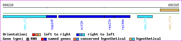 gene map