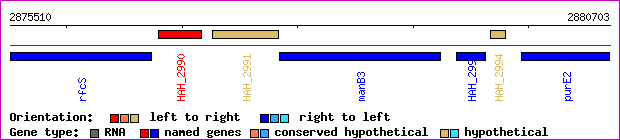 gene map