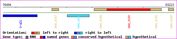 gene map