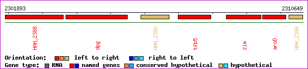 gene map