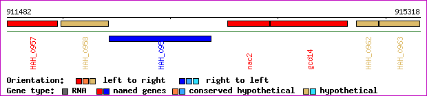 gene map