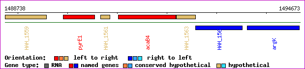 gene map