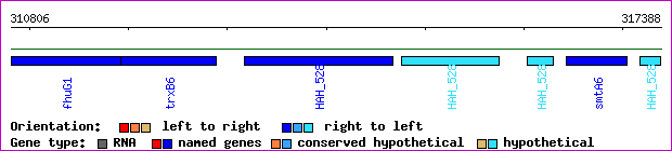 gene map