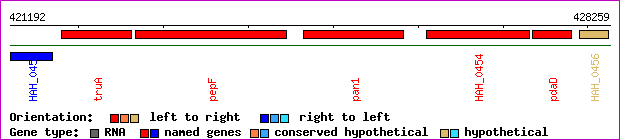 gene map