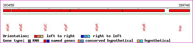 gene map