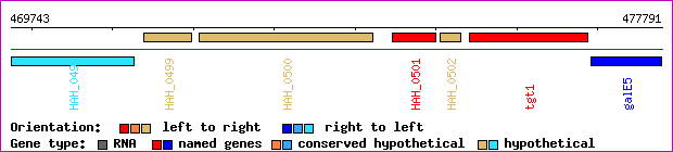 gene map