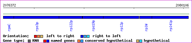 gene map