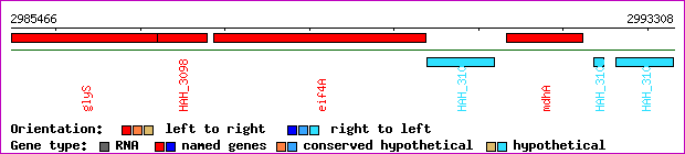 gene map
