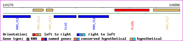 gene map