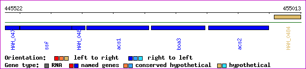 gene map