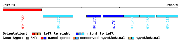 gene map
