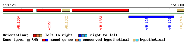gene map
