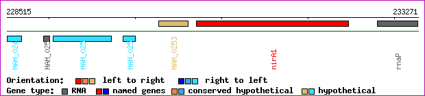 gene map