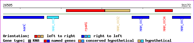 gene map