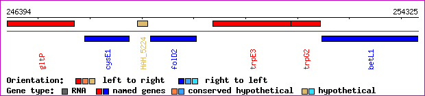 gene map