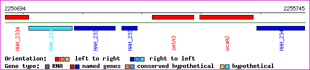 gene map