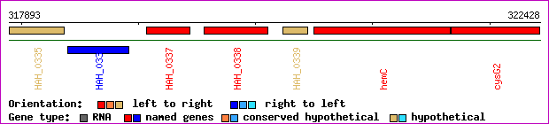 gene map