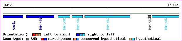 gene map