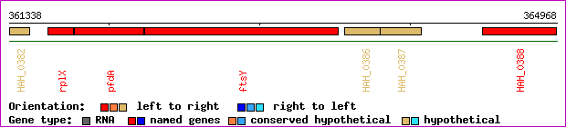 gene map