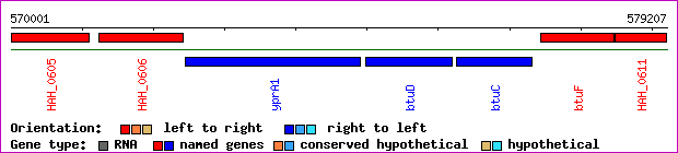 gene map