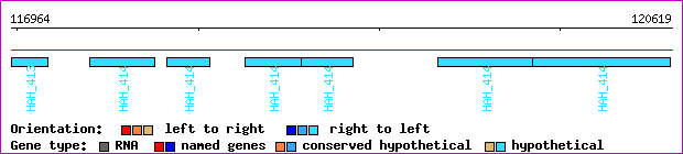 gene map