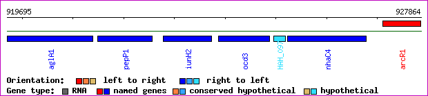gene map