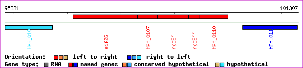 gene map