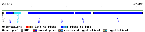 gene map