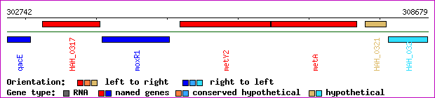 gene map