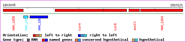 gene map