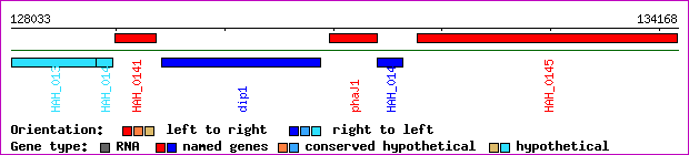 gene map