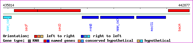 gene map