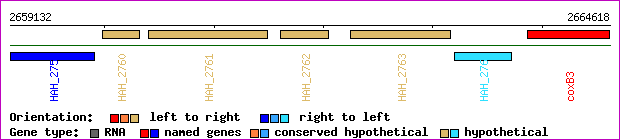 gene map