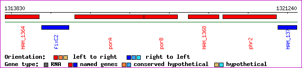 gene map
