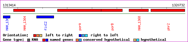 gene map