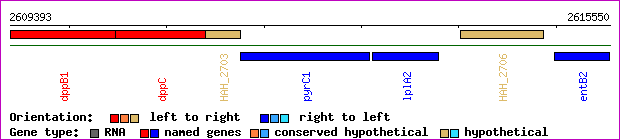 gene map
