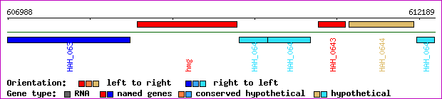 gene map