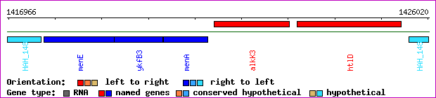 gene map