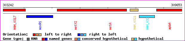 gene map